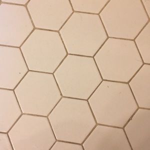 Meet your Posher, Bobbie